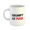 Grumpy As Fuck Mug You Said It