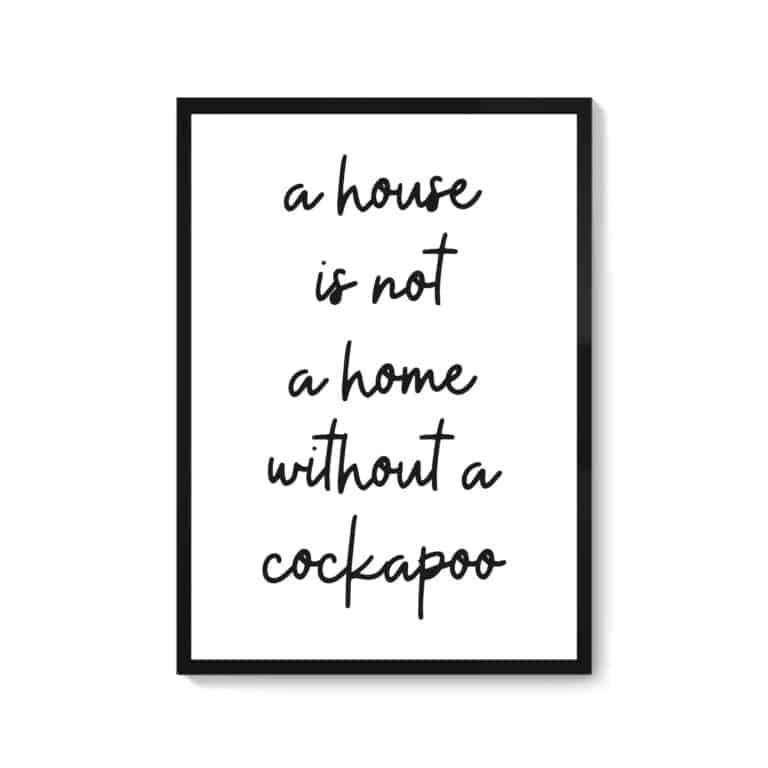 A House Is Not A Home Without A Cockapoo Print