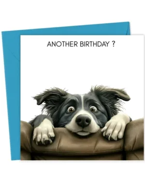 Another birthday Collie - Birthday Cards for Friend