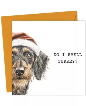 Do I Smell Turkey? Wire-Haired Dachshund Christmas Card