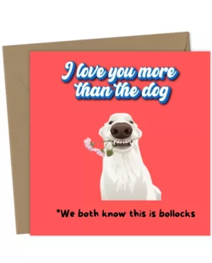 Funny Valentine's Anniversary Card, Dog Lovers, British Humour