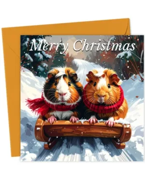 Guinea Christmas Sled Ride - Christmas Card