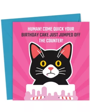 Human Come Quick Cute Cat Birthday Card
