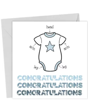 Idiots guide to babies