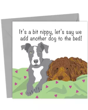 Let's say we add another dog to the bed