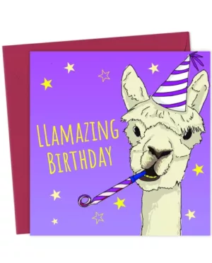 LLAmazing Birthday