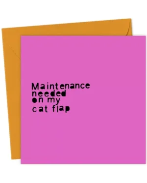 Maintenance needed on my cat flap - Funny Anniversary Card