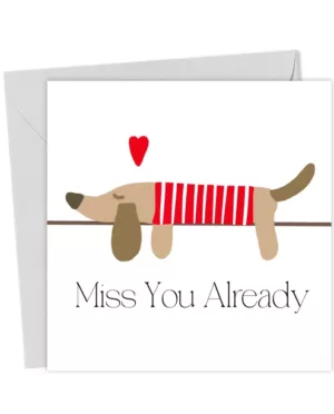 Miss You Already