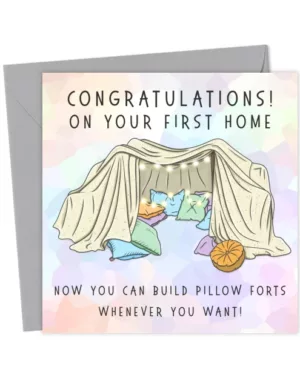 New Pillow Fort, I mean house