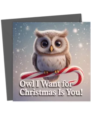 Owl I Want for Christmas Is You!