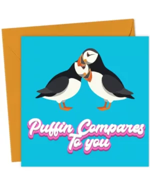"Puffin Compares To You" Funny Anniversary Valentines Greeting Card
