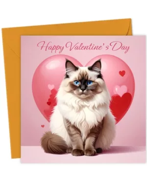 Ragdoll Cat Valentine's Card