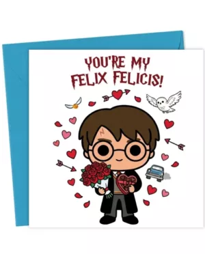 You're my Felix Felicis! Harry Potter themed Valentines/Anniversary